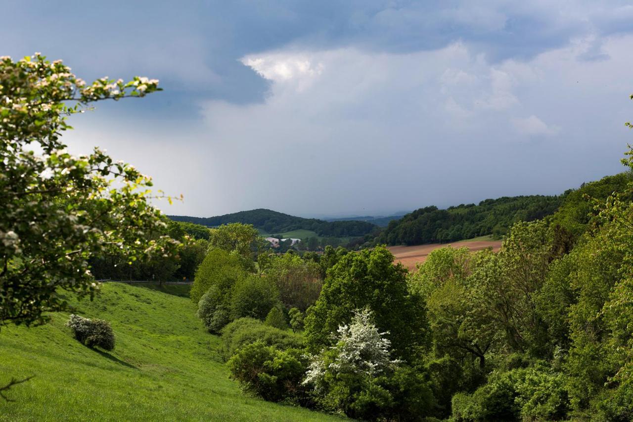 Pension Schloss Heringen Heringen  Buitenkant foto